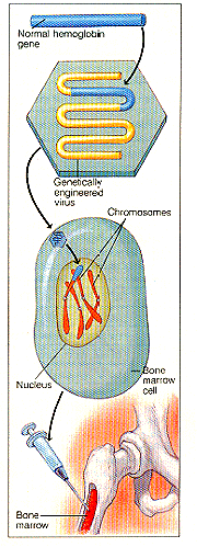 http://www.trentacademy.com/trentschools/10-21sci6.gif