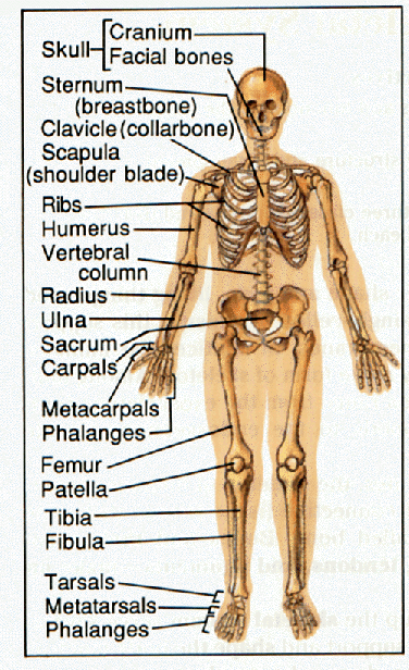 Grade 10 | Lesson 23