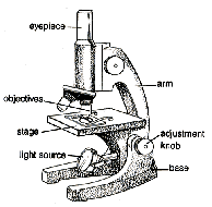 http://www.trentacademy.com/trentschools/5-2sci2.gif