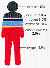 http://www.trentacademy.com/trentschools/8-16sci3.gif