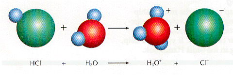 http://www.trentacademy.com/trentschools/8-19sci6.gif